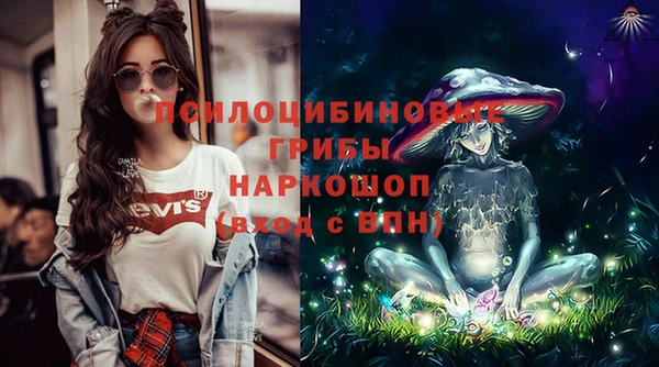 бошки Абаза