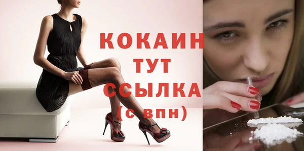 бошки Абаза