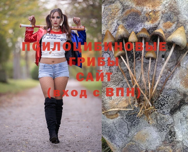 спиды Нязепетровск