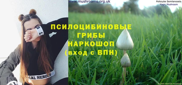 винт Абинск