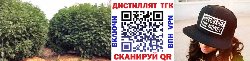 ТГК Wax Новая Усмань